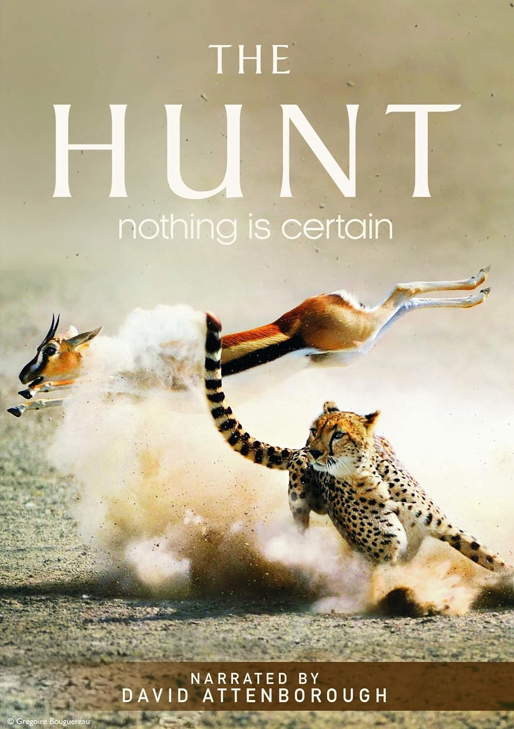 Poster Phim The Hunt (The Hunt)