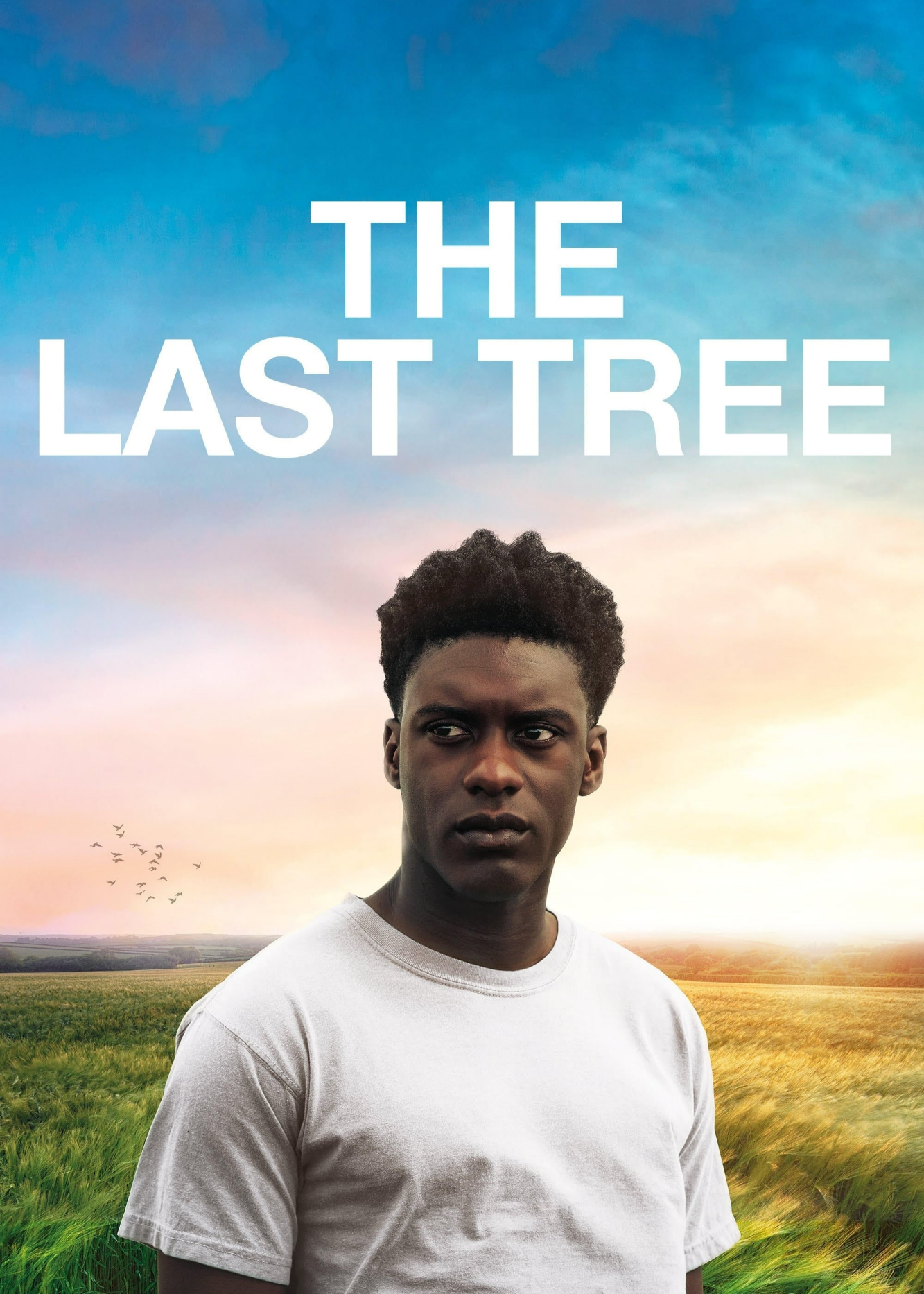 Poster Phim The Last Tree (The Last Tree)