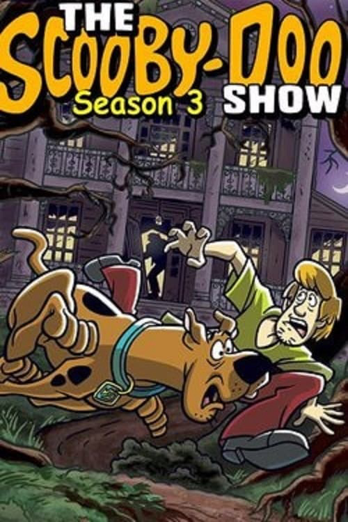 Poster Phim The Scooby-Doo Show (Phần 3) (The Scooby-Doo Show (Season 3))