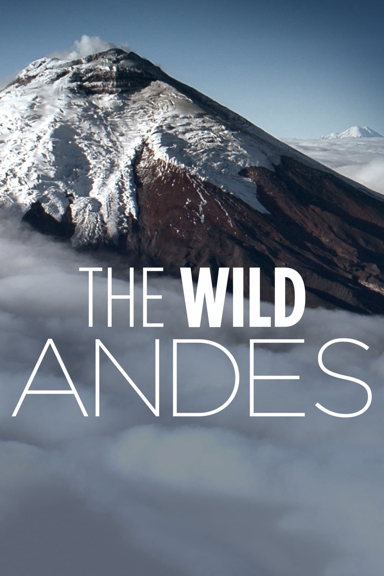 Xem Phim The Wild Andes (The Wild Andes)