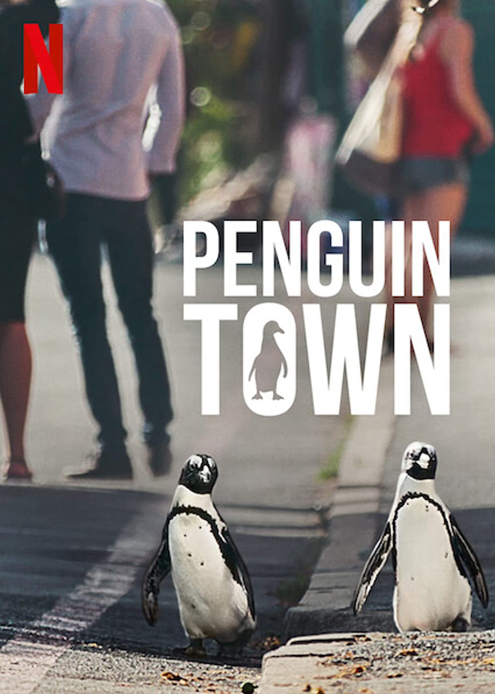 Xem Phim Thị trấn cánh cụt (Penguin Town)