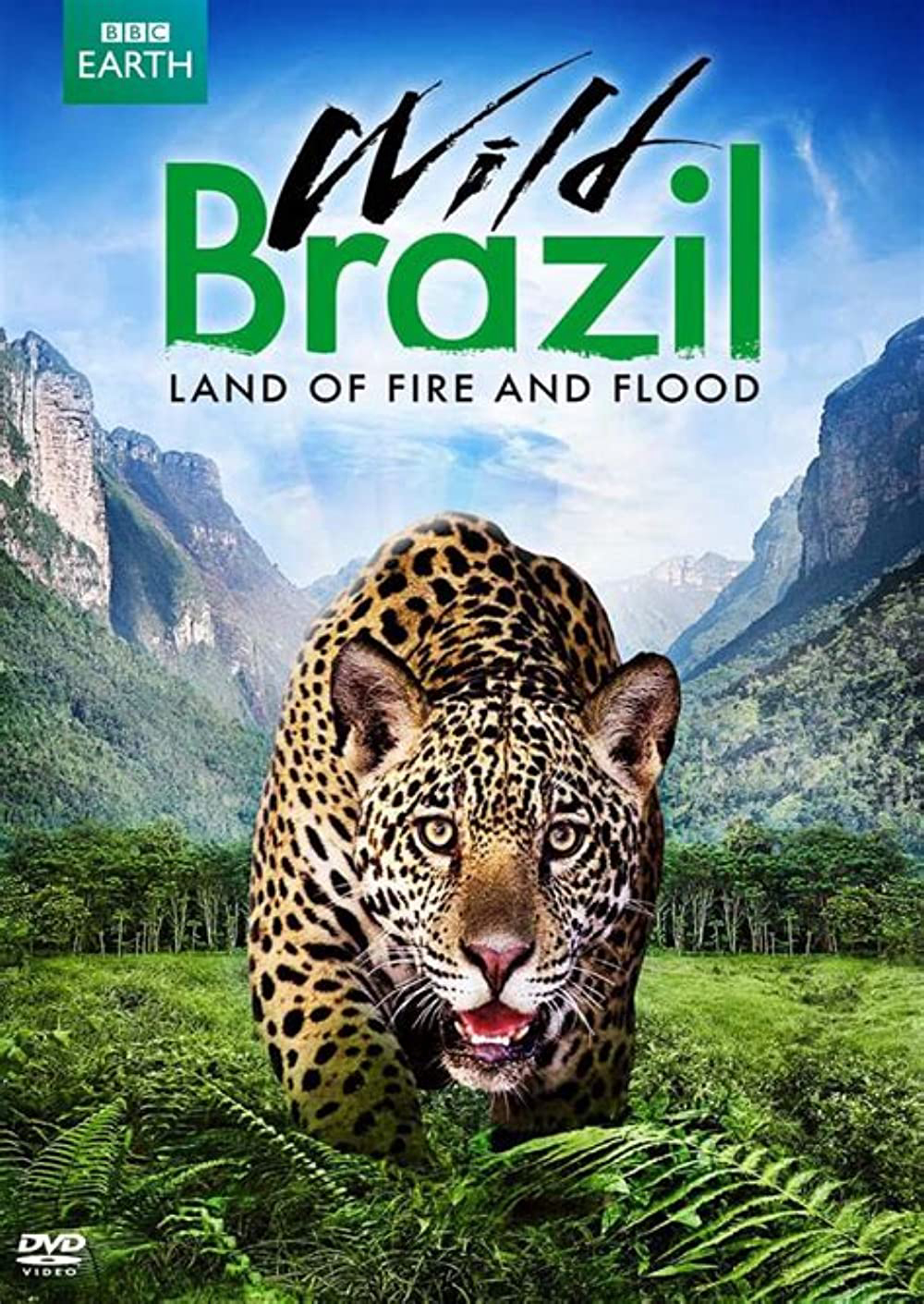 Poster Phim Thiên Nhiên Brazil Hoang Dã (Wild Brazil)