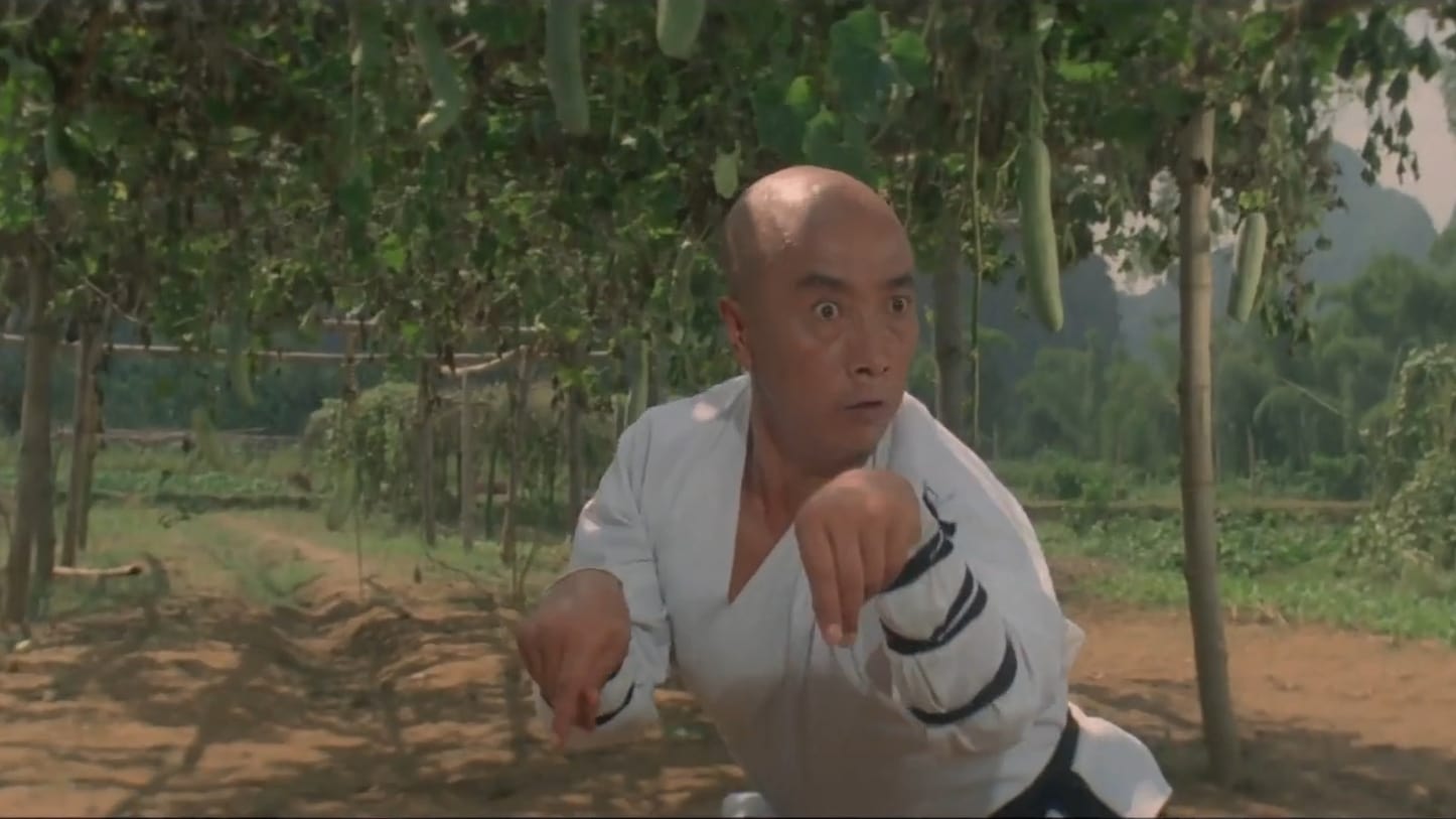 Poster Phim Thiếu Lâm Tự 3: Nam Bắc Thiếu Lâm (Shaolin Temple 3: Martial Arts of Shaolin)