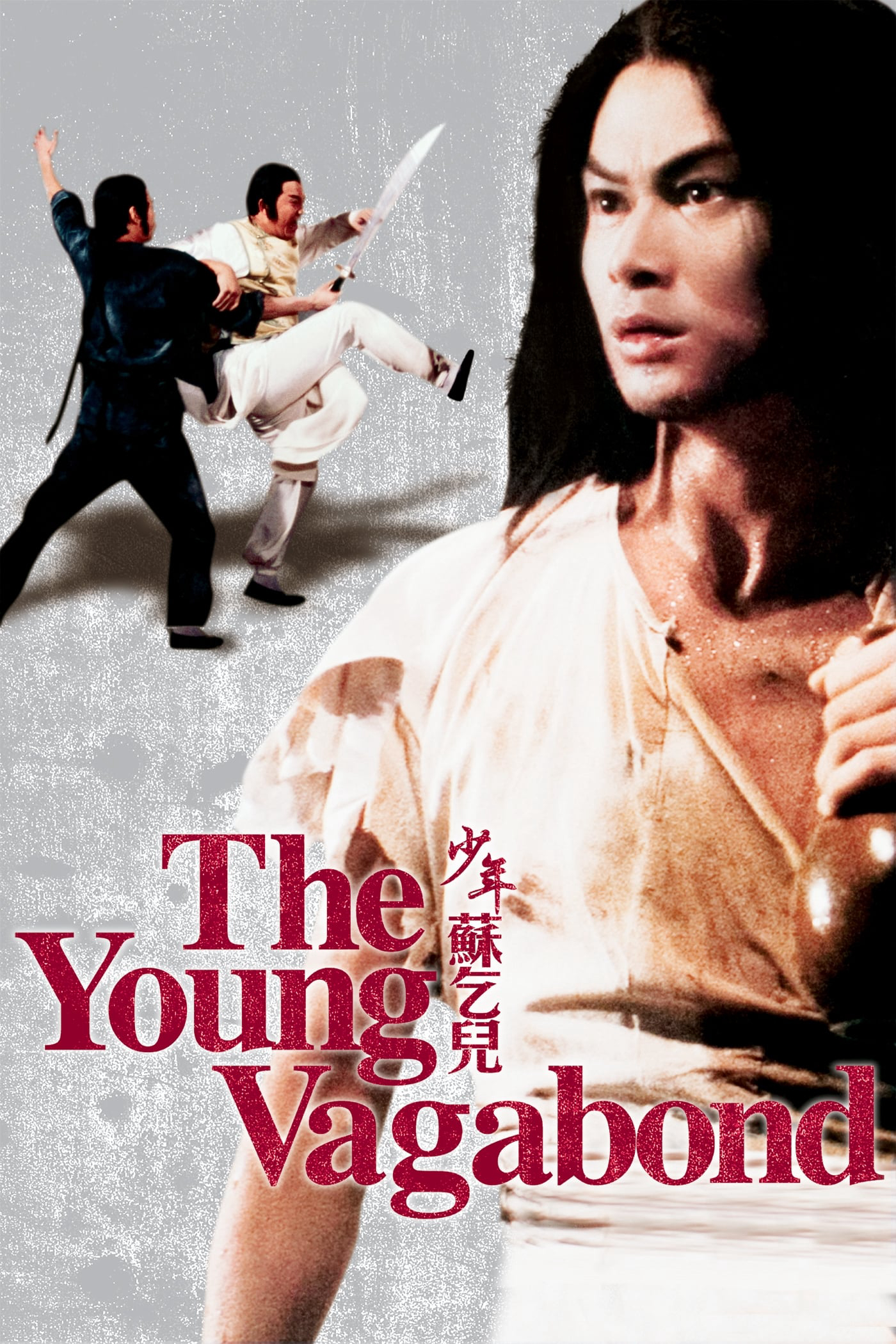 Xem Phim Thiếu Niên Tô Khất Nhi (The Young Vagabond)