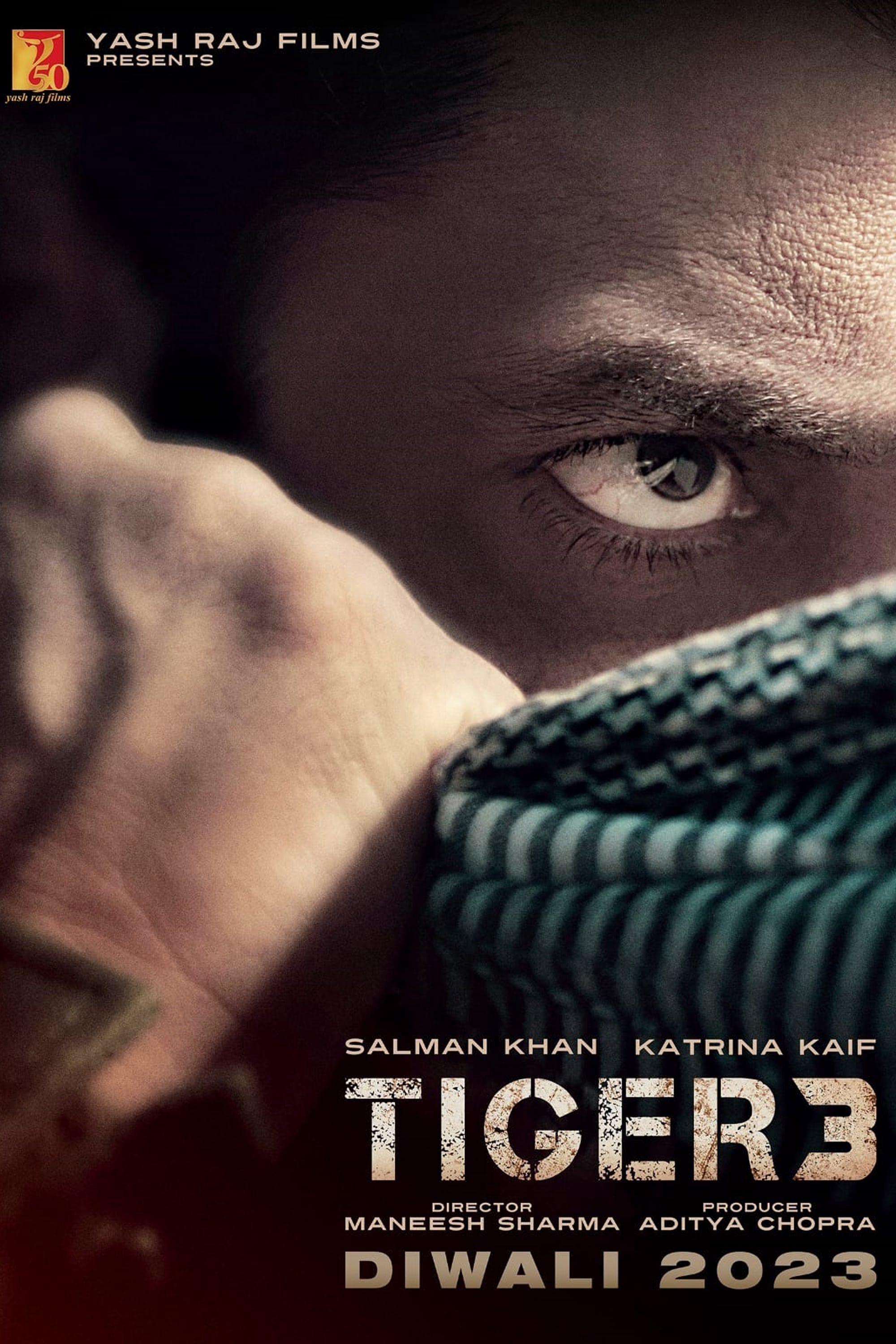 Poster Phim Tiger 3 (Tiger 3)