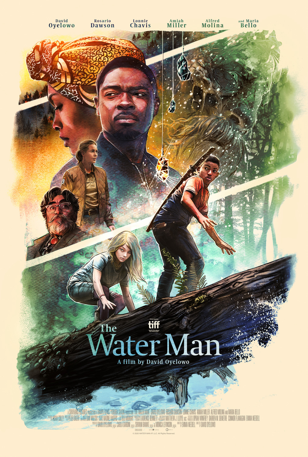 Poster Phim Tìm kiếm thủy nhân (The Water Man)