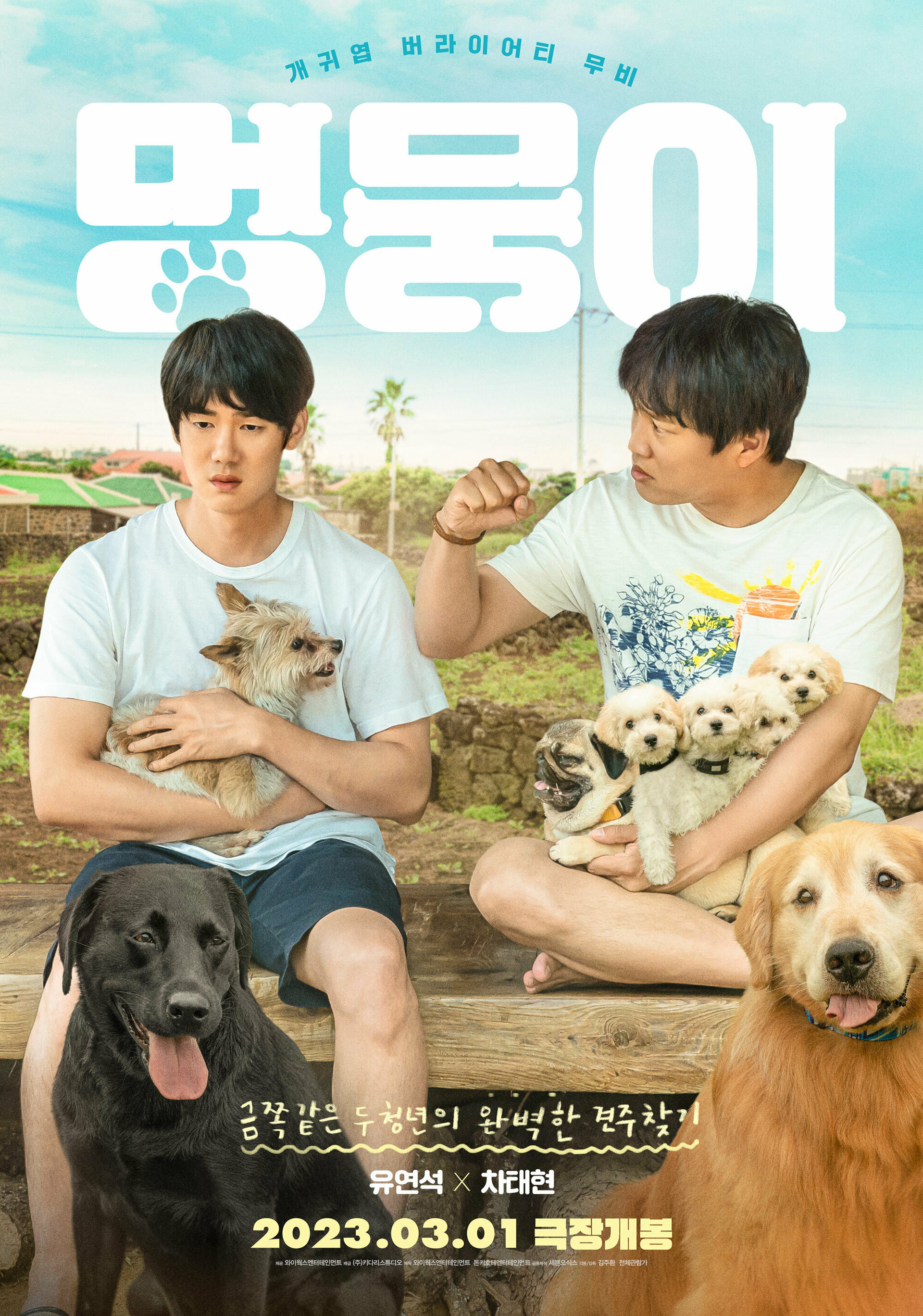 Poster Phim Tìm Nhà Cho Boss (My Heart Puppy)