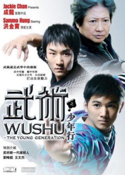 Poster Phim Tinh Hoa Quyền Thuật (Jackie Chan: Presents Wushu)