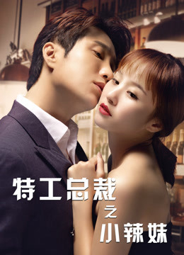Poster Phim Tổng Tài Đặc Công Và Em Gái Sexy (The Special Agent and His Hot Girl)