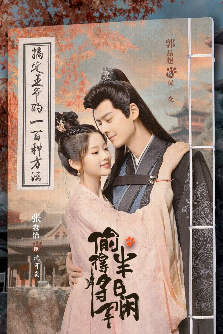 Poster Phim Trộm Được Tướng Quân Nửa Ngày Nhàn (The Substitute Princess's Love)