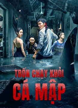 Poster Phim Trốn Chạy Khỏi Cá Mập (Escape of Shark)