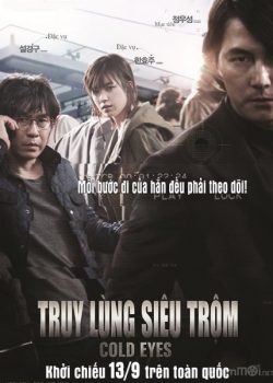 Poster Phim Truy Lùng Siêu Trộm (Cold Eyes / Stakeout)