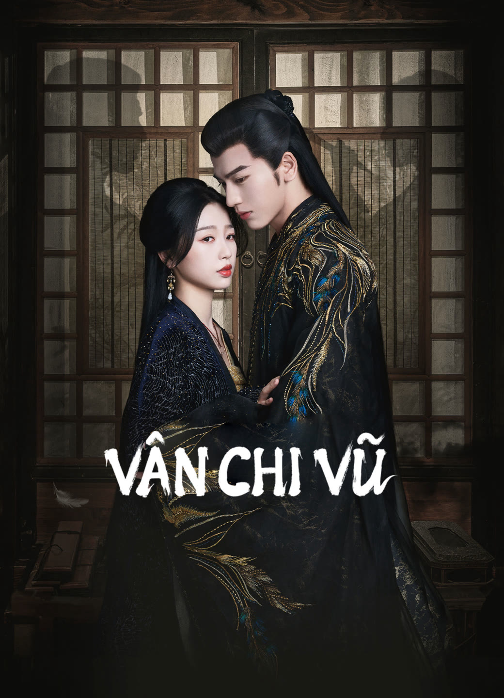 Poster Phim Vân Chi Vũ (My Journey to You)