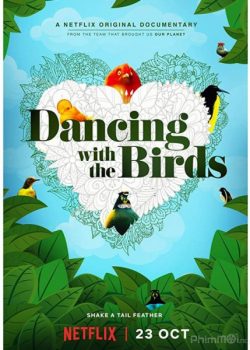 Poster Phim Vũ Điệu Các Loại Chim (Dancing with the Birds)