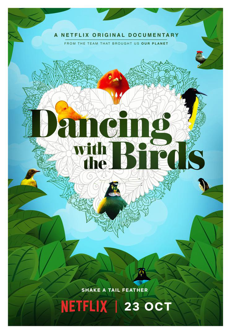 Poster Phim Vũ điệu của loài chim (Dancing with the Birds)