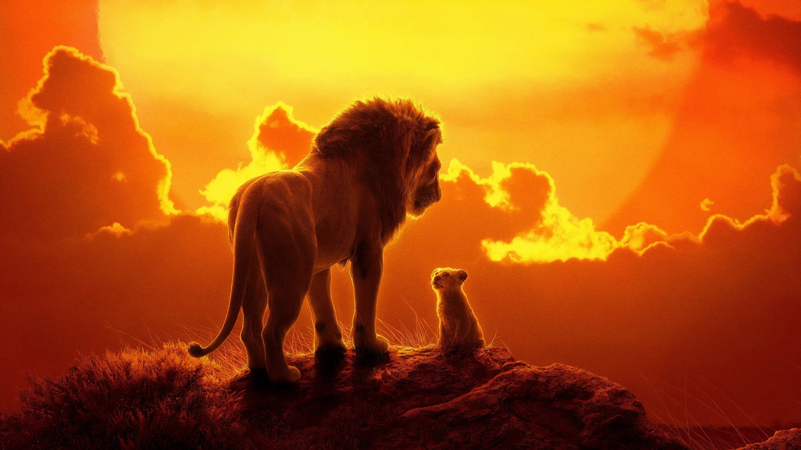 Poster Phim Vua Sư Tử (The Lion King)