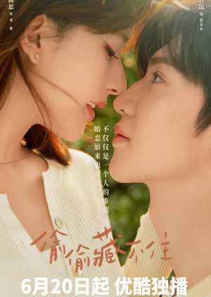 Poster Phim Vụng Trộm Không Thể Giấu (Hidden Love)