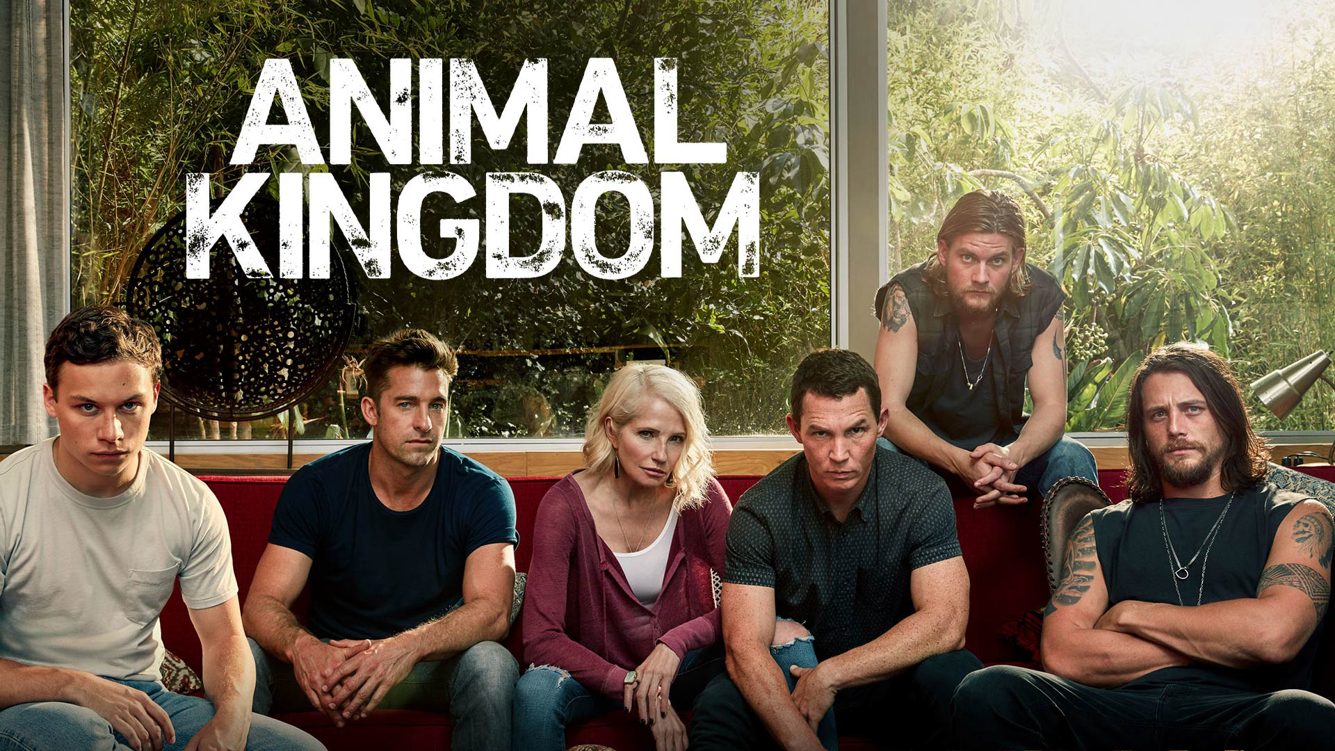Xem Phim Vương Quốc Động Vật (Phần 2) (Animal Kingdom (Season 2))