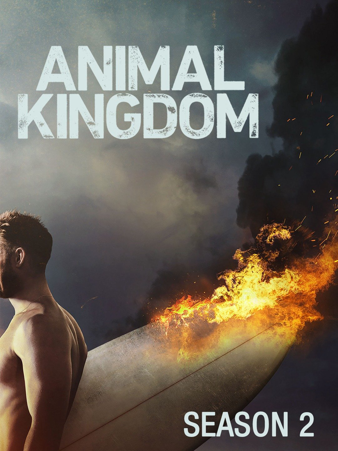 Xem Phim Vương quốc động vật (Phần 2) (Animal Kingdom (Season 2))