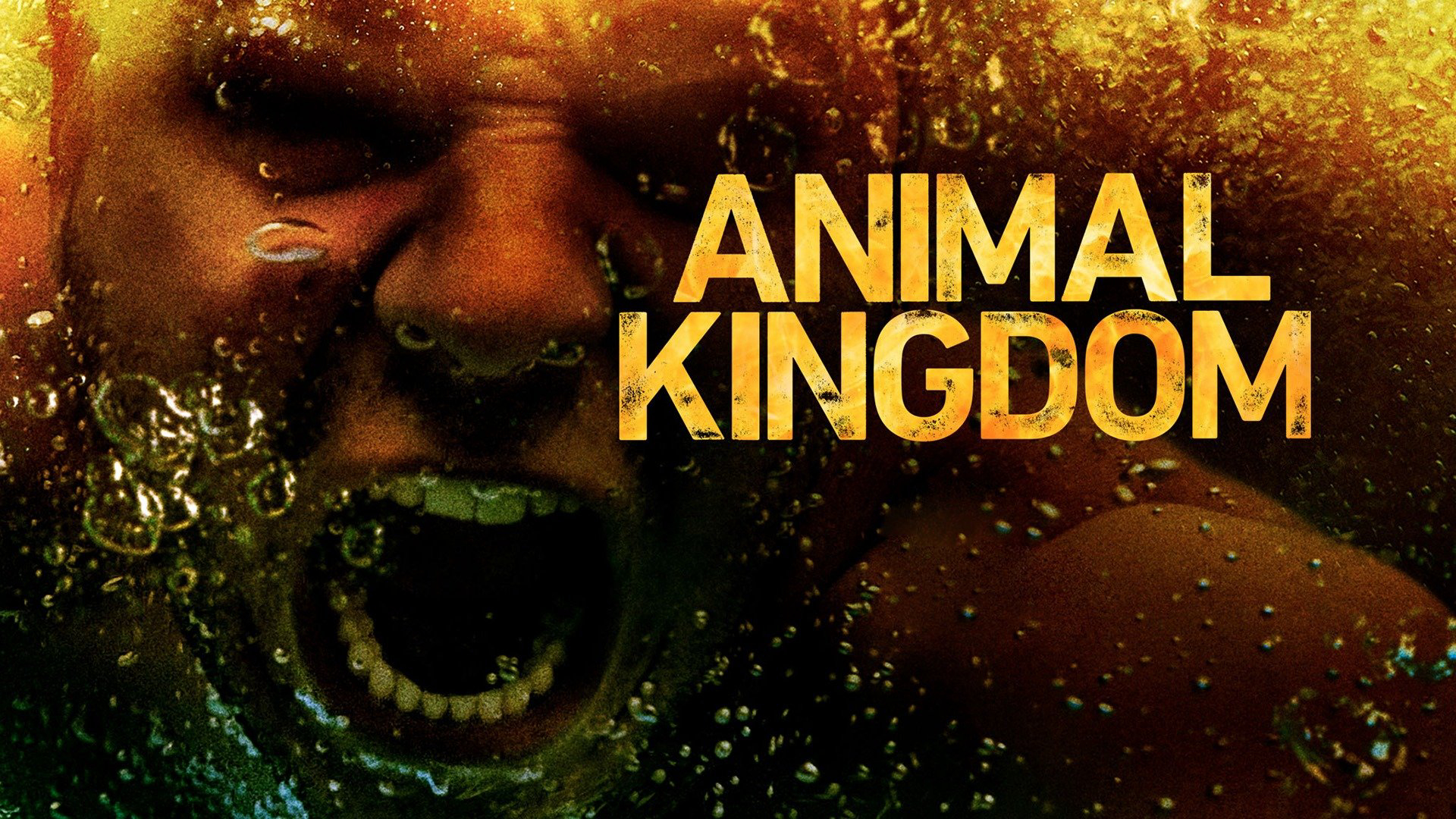 Xem Phim Vương Quốc Động Vật (Phần 3) (Animal Kingdom (Season 3))