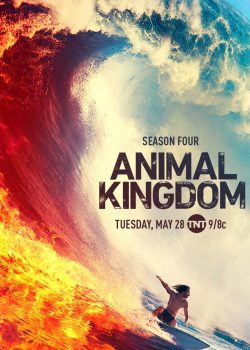 Poster Phim Vương Quốc Động Vật Phần 4 (Animal Kingdom Season 4)