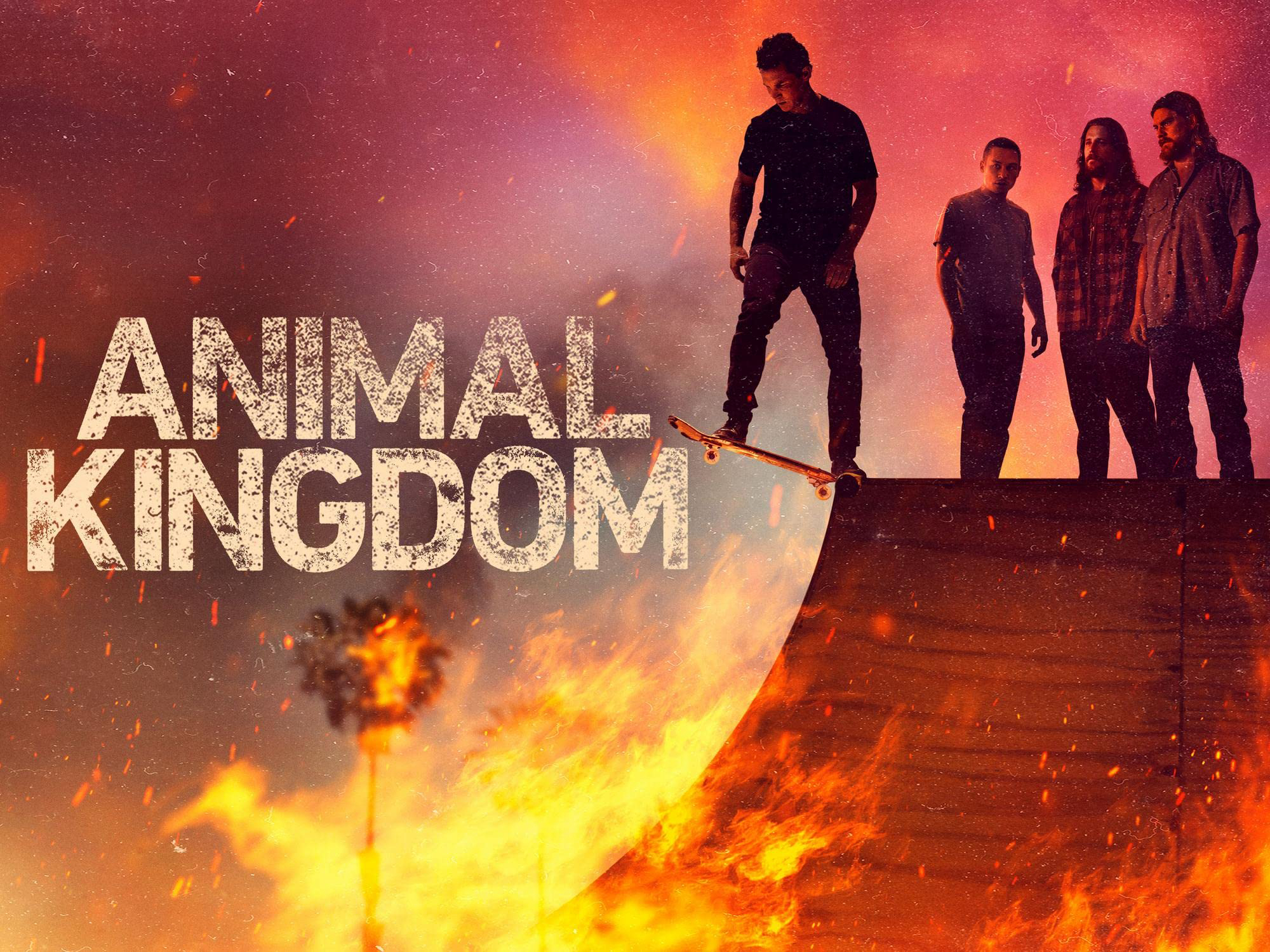 Xem Phim Vương Quốc Động Vật (Phần 6) (Animal Kingdom (Season 6))