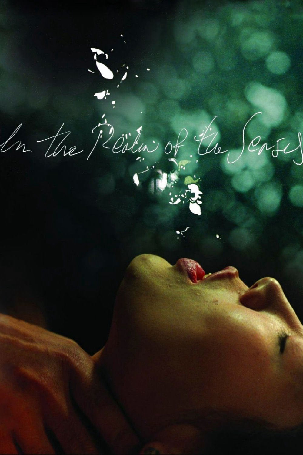 Poster Phim Vương Quốc Dục Cảm (In the Realm of the Senses)