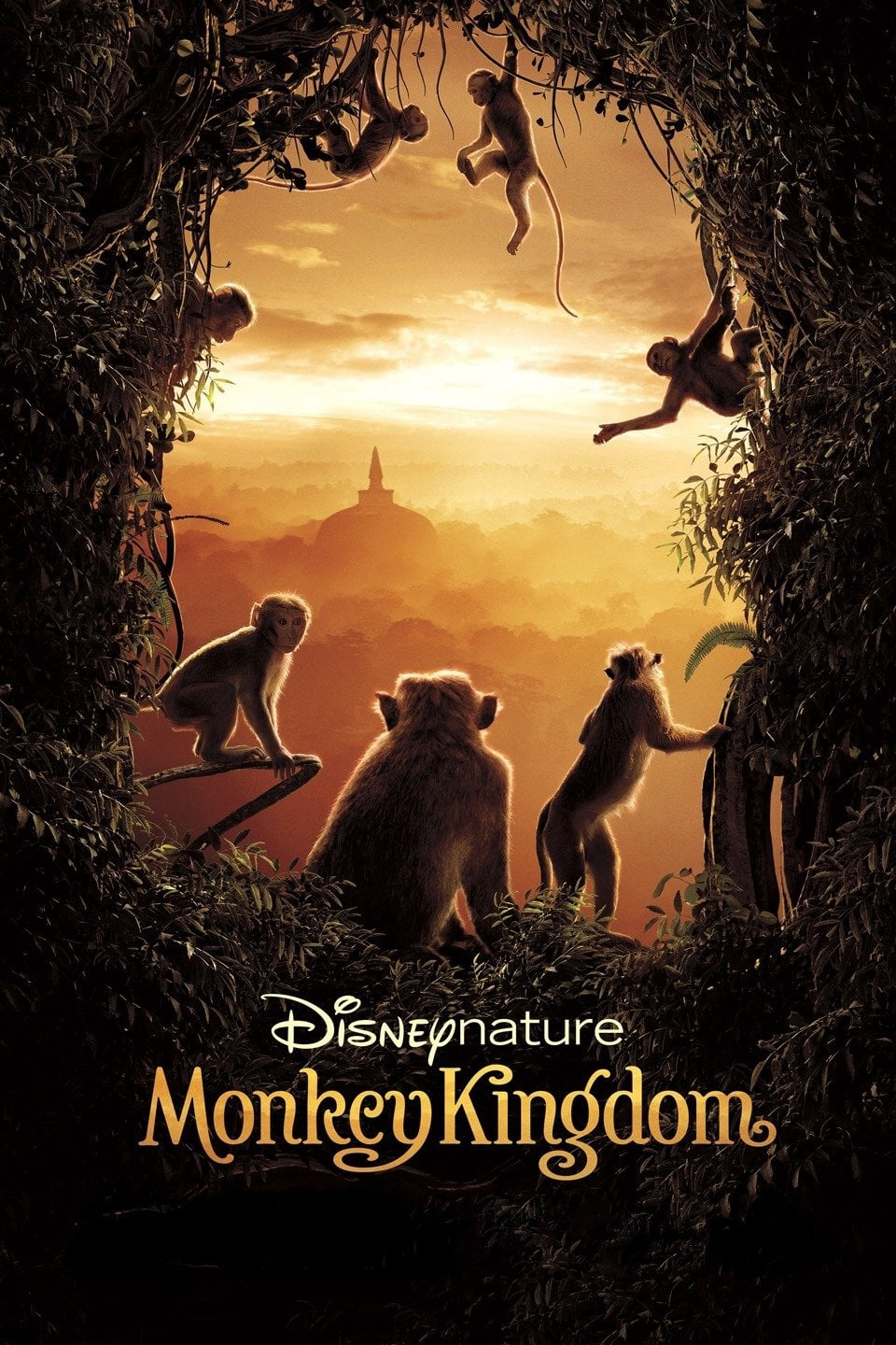 Xem Phim Vương Quốc Loài Khỉ (Monkey Kingdom)