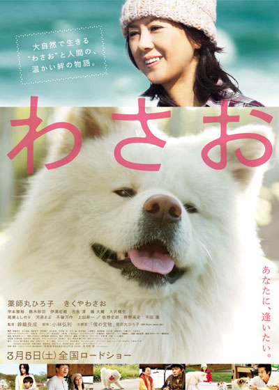 Poster Phim Wasao (Wasao)