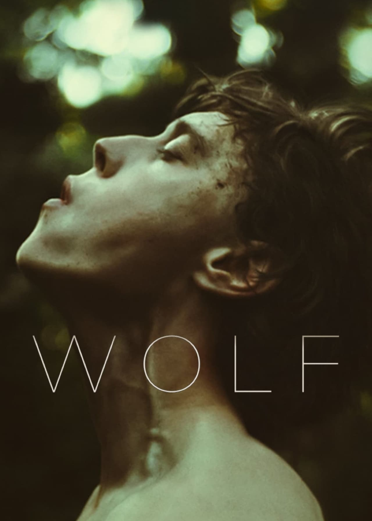 Poster Phim Sói trong lốt người (Wolf)