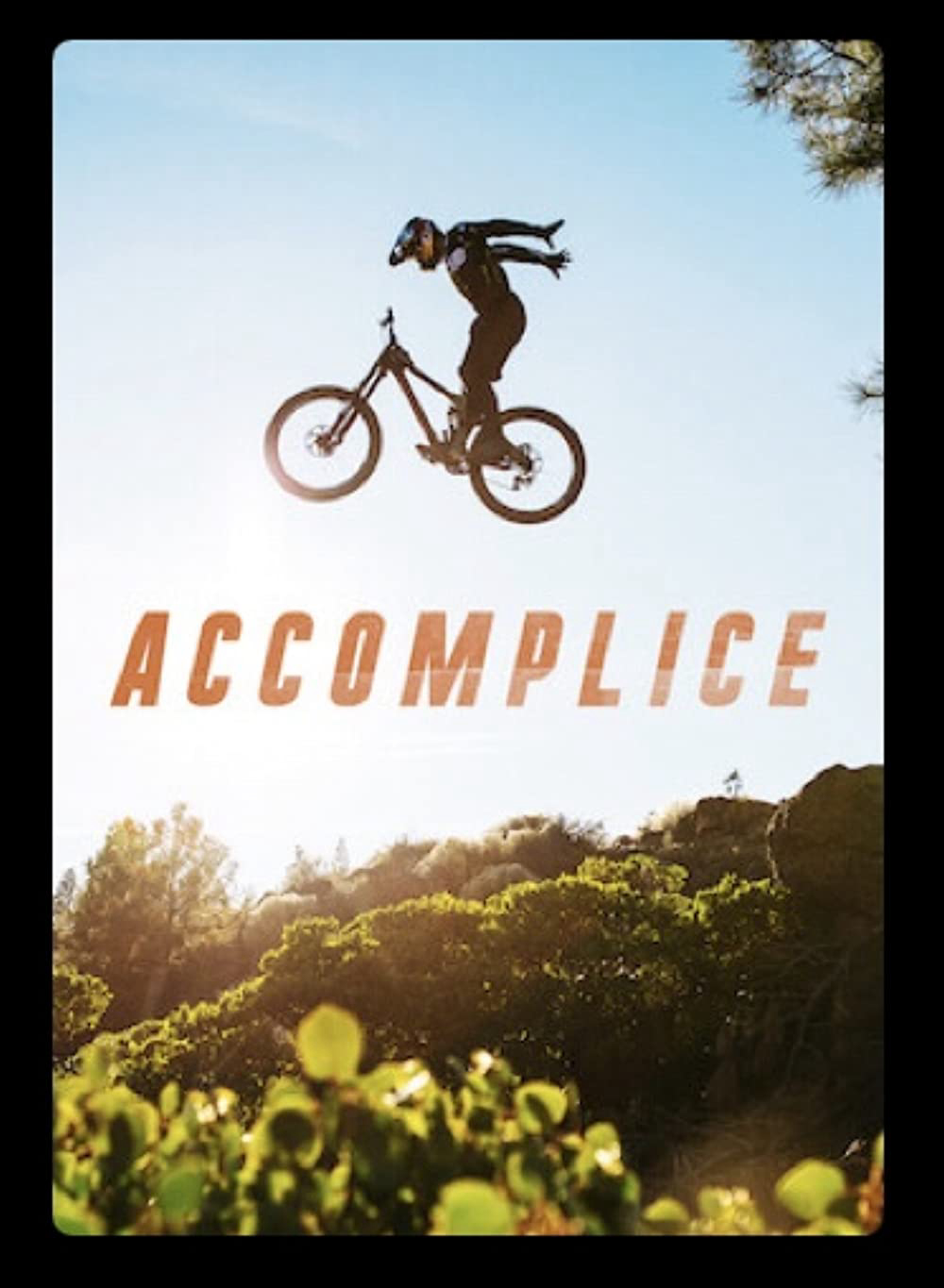 Poster Phim Xe đạp đồng hành (Accomplice)