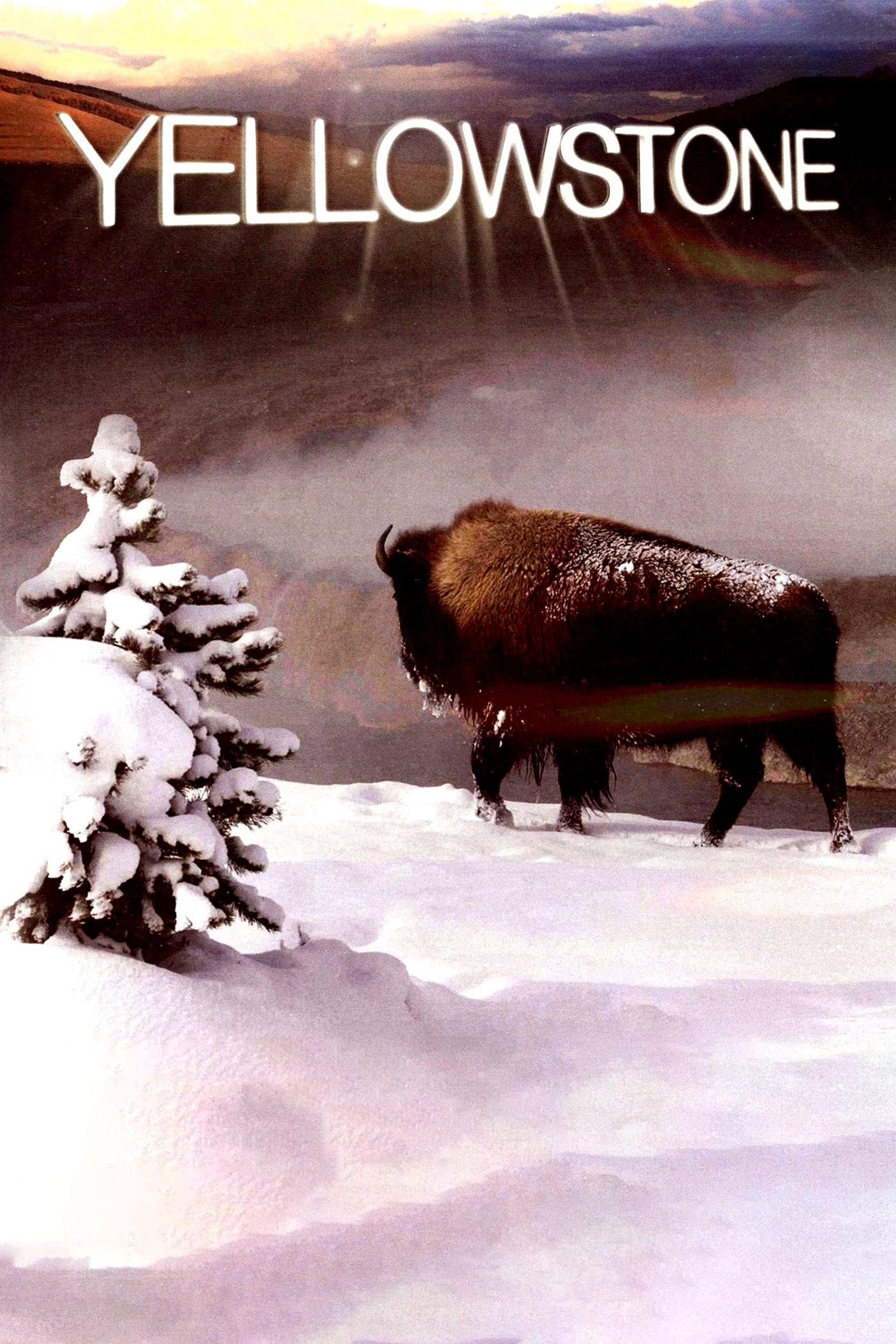 Poster Phim Yellowstone (Yellowstone)
