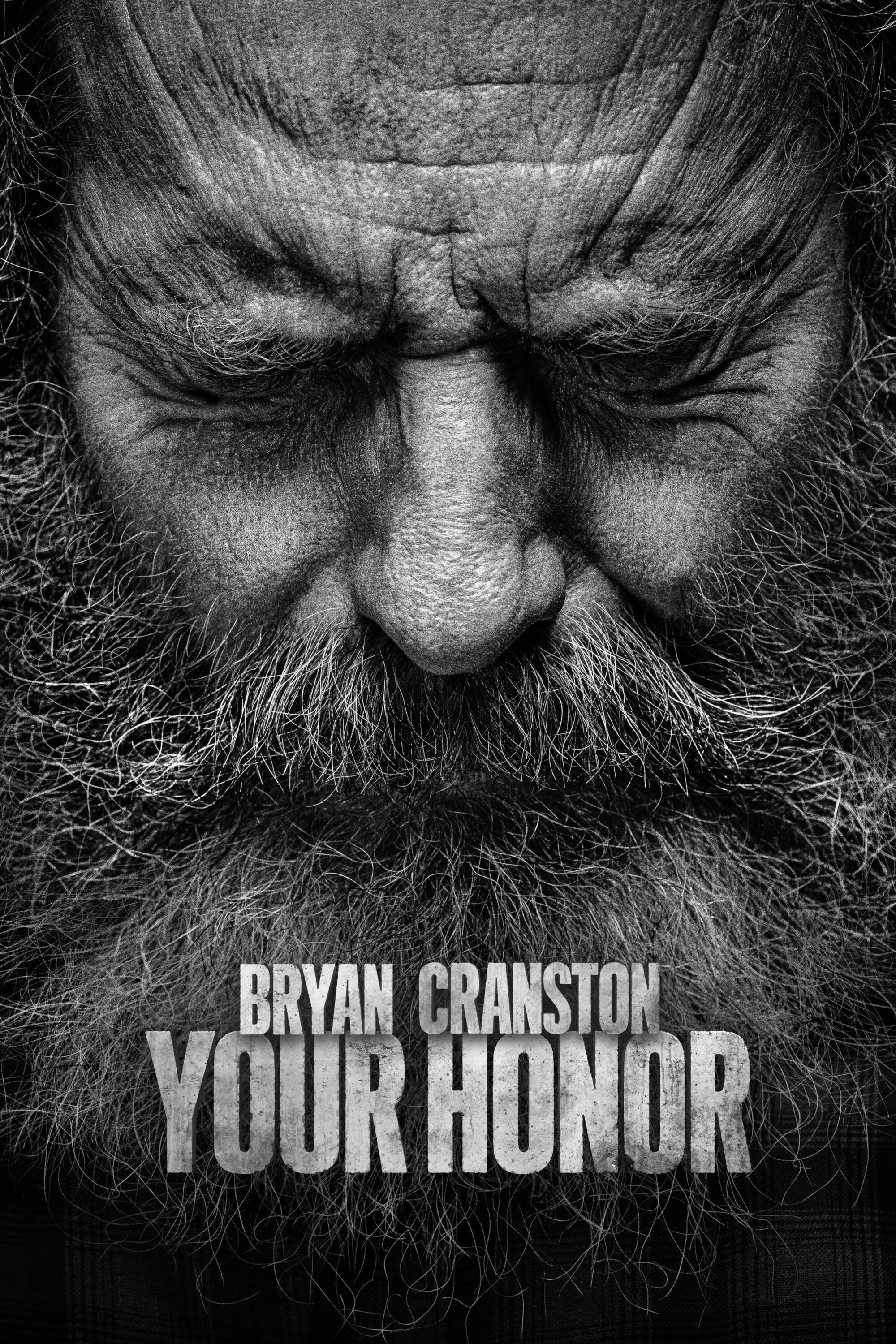 Xem Phim Your Honor (Phần 2) (Your Honor (Season 2))